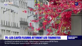 Paris: les cafés fleuris attirent les touristes