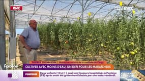 Cultiver avec moins d'eau, un défi pour les maraîchers
