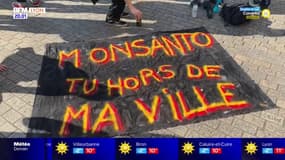 Lyon: manifestation contre le groupe pharmaceutique et agrochimique allemand Bayer 