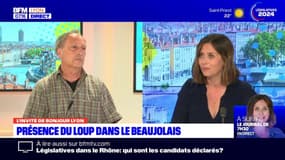 Rhône: quelle présence pour le loup dans le Beaujolais? 