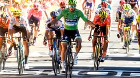 Peter Sagan