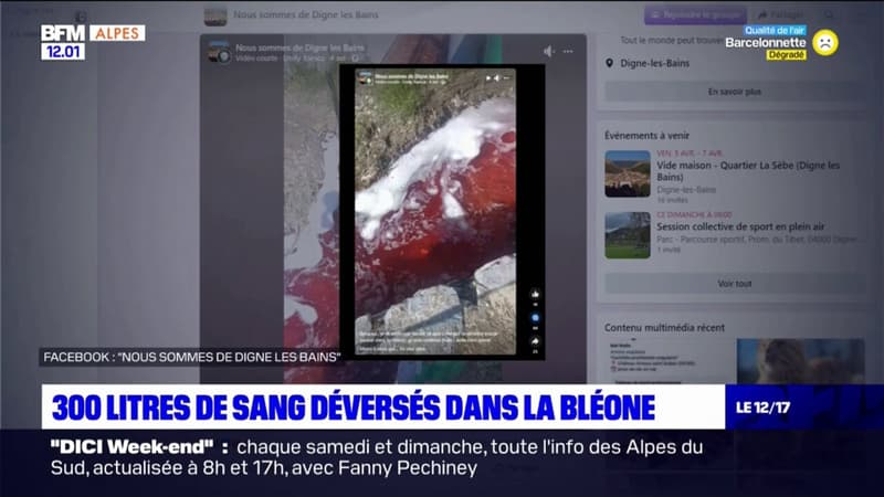 Digne-les-Bains: plus de 300 litres de sang déversés dans la Bléone après un accident technique survenu à l'abattoir