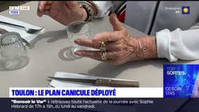 Toulon: le plan canicule déployé