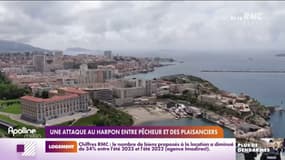 Une attaque au harpon entre pêcheur et des plaisanciers