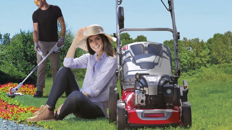 Mr Jardinage : sur le marché du jardinage, les coopératives ont la cote