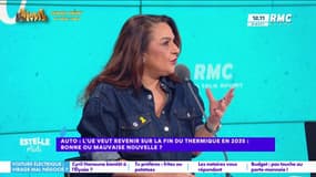Interdiction de la voiture thermique en 2035 : "Ce cap était irréalisable", affirme Yaël Mellul