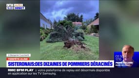 Sisteronais: des dizaines d'arbres déracinés