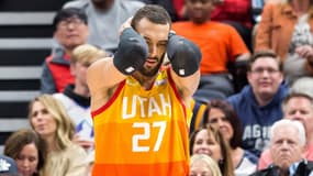 Rudy Gobert