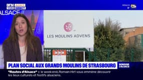 Un plan social mis en œuvre aux Grands moulins de Strasbourg