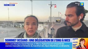 Sommet des océans: "des doutes sur le bilan écologique", pointe une élue d'opposition