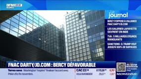 Bercy freine JD.com chez Fnac Darty 