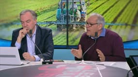 Glyphosate: le coup de gueule de Johnny Blanc contre les associations de consommateurs