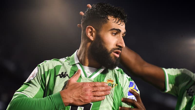 N. Fekir