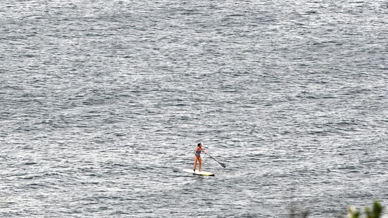 Une femme fait du paddle surf toute seule près de la plage de Coogee à Sydney, Australie, le 16 avril 2020 (photo d'illustration)