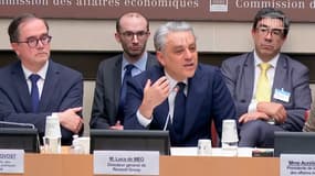 Le directeur général du groupe Renault, Luce de Meo, lors de son audition à l'Assemblée nationale mardi 4 février 2025.