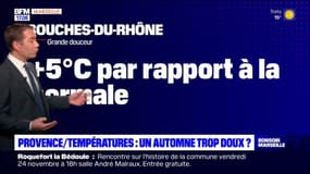 Bouches-du-Rhône: un automne trop doux?