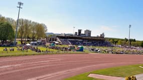 Les pronos hippiques du 15 juin 2024