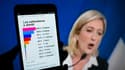 Marine Le Pen ne devrait pas donner de consigne de vote pour le second tour de l'élection présidentielle le 6 mai, a laissé entendre lundi Louis Aliot, vice-président du Front national. /Photo prise le 22 avril 2012/REUTERS/Valentin Flauraud