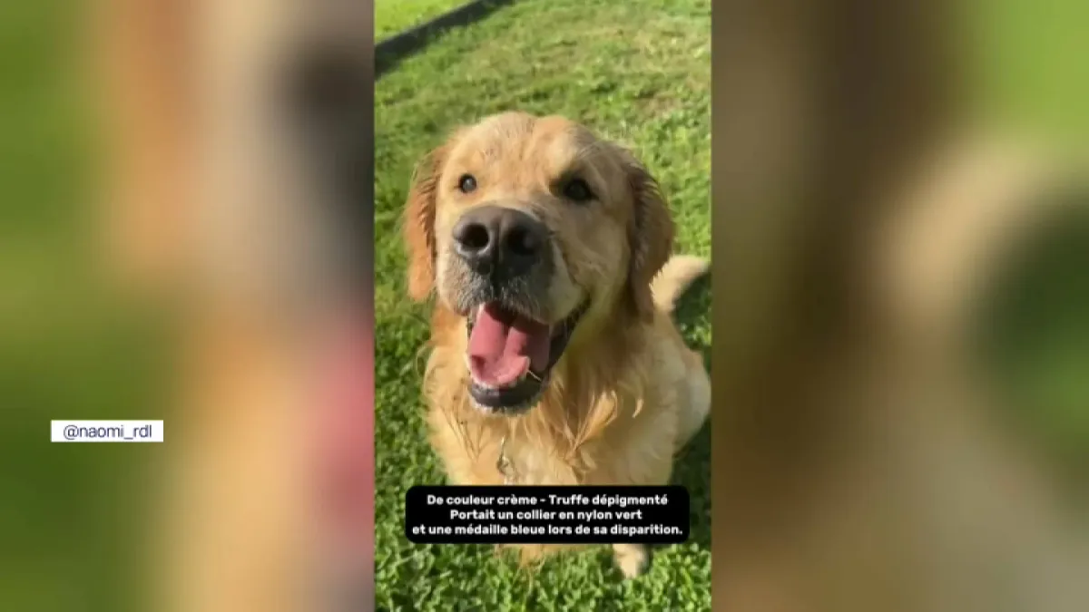 placeholder video