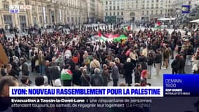 Lyon: plusieurs centaines de personnes réunies place des Terreaux en soutien au peuple palestinien