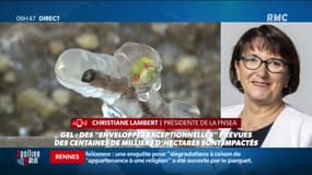 Louis Amar raconte cette histoire sur fond de théorie du complot