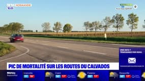 Pic de mortalité sur les routes du Calvados 