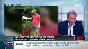 "Je vends mon kilo de cerises entre 2€ et 2€50 (...) Certains metteurs en marché pètent complètement les plombs, pour faire du bénéfice, et on retrouve les cerises en fin de circuit à 9 ou 10€ le kilo"