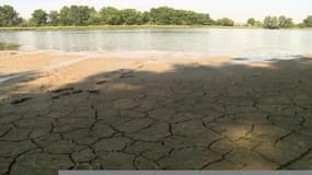 Sécheresse: le niveau de l'eau inquiète les pisciculteurs de l'Ain