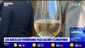 Les Arcs: les vignerons face aux enjeux des changements climatiques