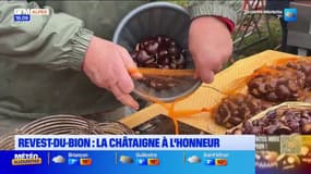 Revest-du-Bion: la châtaigne à l'honneur