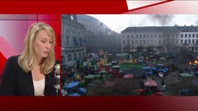 Pour Marion Maréchal,  "le gouvernement a noyé nos agriculteurs sous la concurrence déloyale"