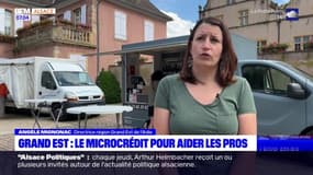Grand Est: le microcrédit pour aider les pros