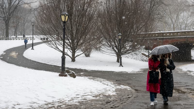 Des personnes s'abritent sous un parapluie au milieu de la neige à Central Park à New York, aux États-Unis, le 19 janvier 2024
