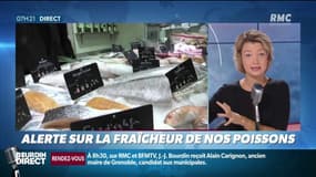 Dupin quotidien: alerte sur la fraîcheur de nos poissons