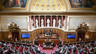 Le président du Sénat Gérard Larcher (à droite) s'exprime devant les sénateurs à Paris, le 15 janvier 2025. Photo d'illustration