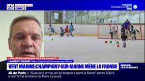Piscines fermées par Vert Marine: le maire de Champigny-sur-Marne mène la fronde