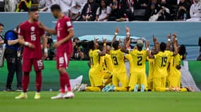 La joie des joueurs de l'Equateur face au Qatar