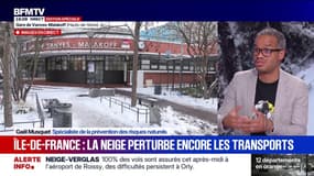 Pourquoi les trains souffrent autant de la neige et du verglas?