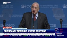 Croissance: l'OCDE entrevoit la sortie de la crise 