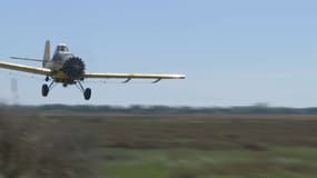 La démoustication se fait aussi par avion. Cet appareil qui vole en rase-mottes peut transporter jusqu'à 1.500 litres d'insecticides.