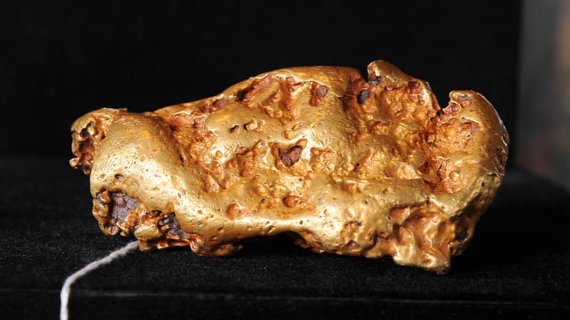 Une grosse pépite d'or australienne, dont le prix de vente est estimé entre 100.000 et 150.000 USD, est exposée lors d'une vente aux enchères en avant-première, le 6 mai 2010 à Los Angeles.