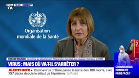 Sylvie Briand (OMS): "97% des gens vont guérir" du coronavirus