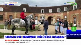 Orne: le Haras du Pin sera-t-il élu monument préféré des Français?