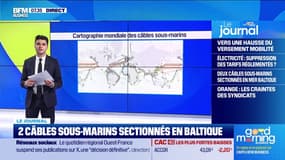 Soupçons de sabotage en mer Baltique après la rupture de deux câbles sous-marins
