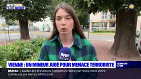 Vienne : un mineur jugé pour menace terroriste 