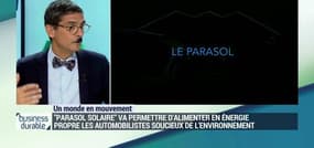 En Corse, les parasols solaires Driveco permettent aux automobilistes de rouler écolo 