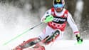 Marcel Hirscher