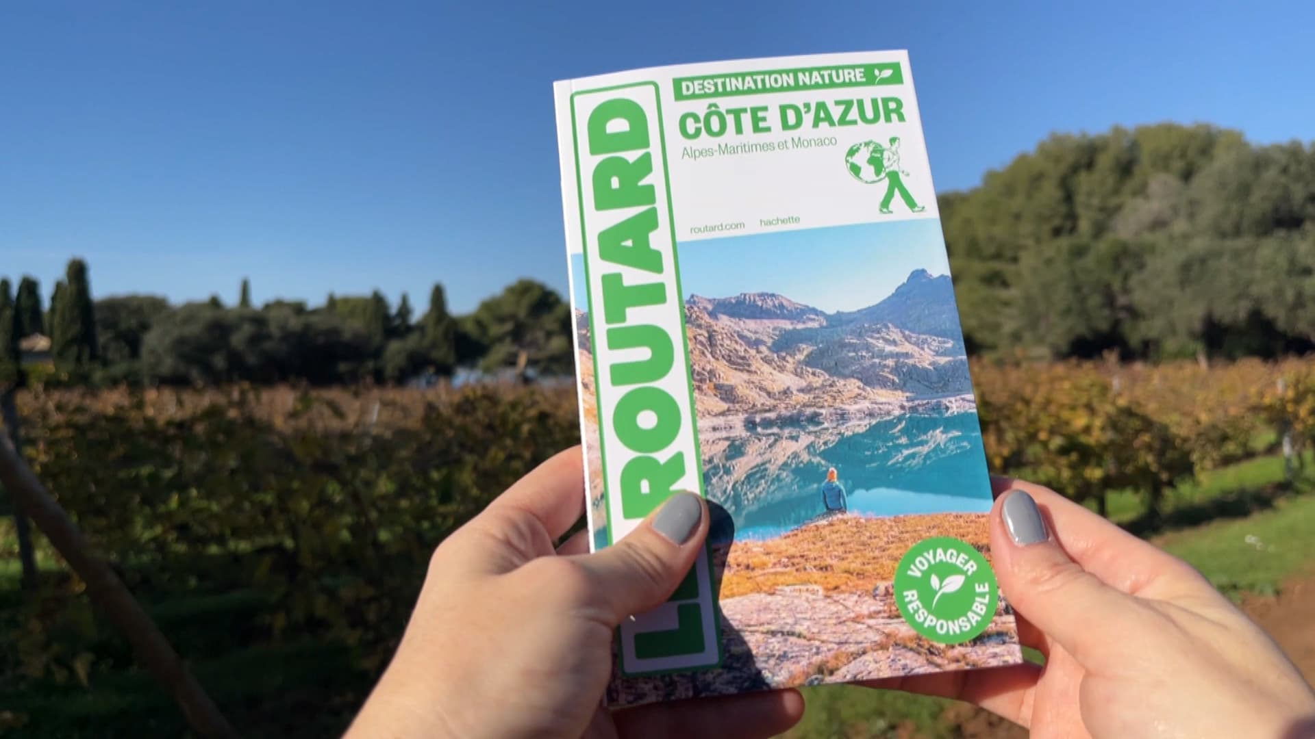 ACQUISITION DU GUIDE DU ROUTARD PAR HACHETTE: LE NUMÉRO 1 DES LIVRES DE VOYAGES PASSE SOUS CONTRÔLE DE VINCENT BOLLORÉ