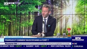 Idée de placements: Pourquoi et comment investir dans la forêt ? - 17/10