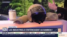 Green Reflex: les industriels s'intéressent au bambou - 28/11